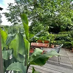 Apartmán Wiehler-