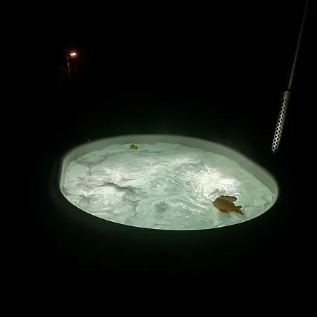 Apartament Wiehler- *