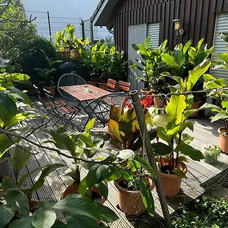 Apartment Wiehler- *