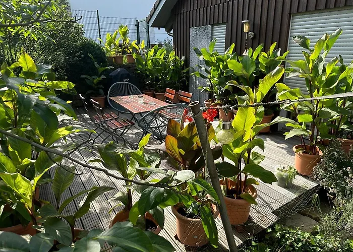 Wiehler- ヴィール